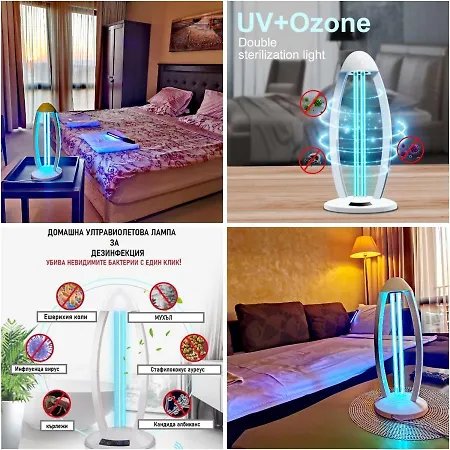 Royal Apartament Słoneczny Brzeg